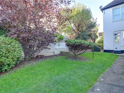 Picture 11
